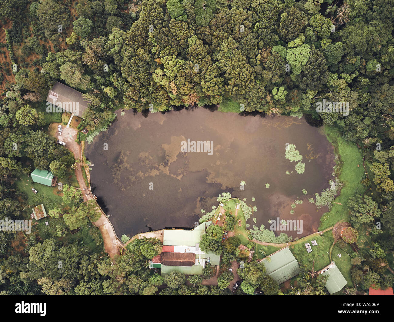 Small lake surrounded by forest aerial above drone view Stock Photo