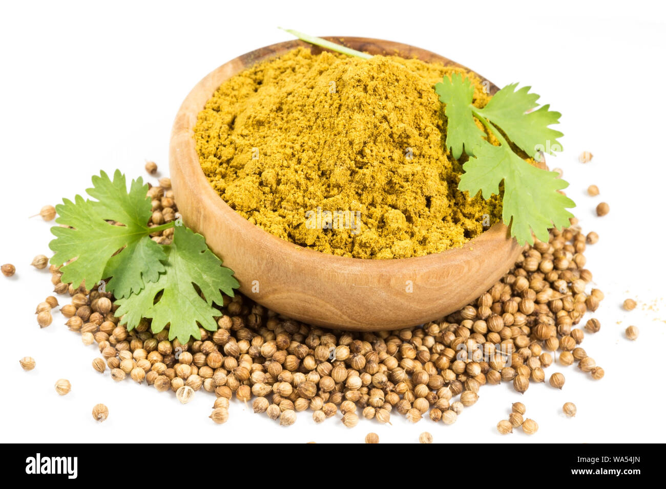Coriander seeds, leaves and powder isolated Stock Photo Alamy