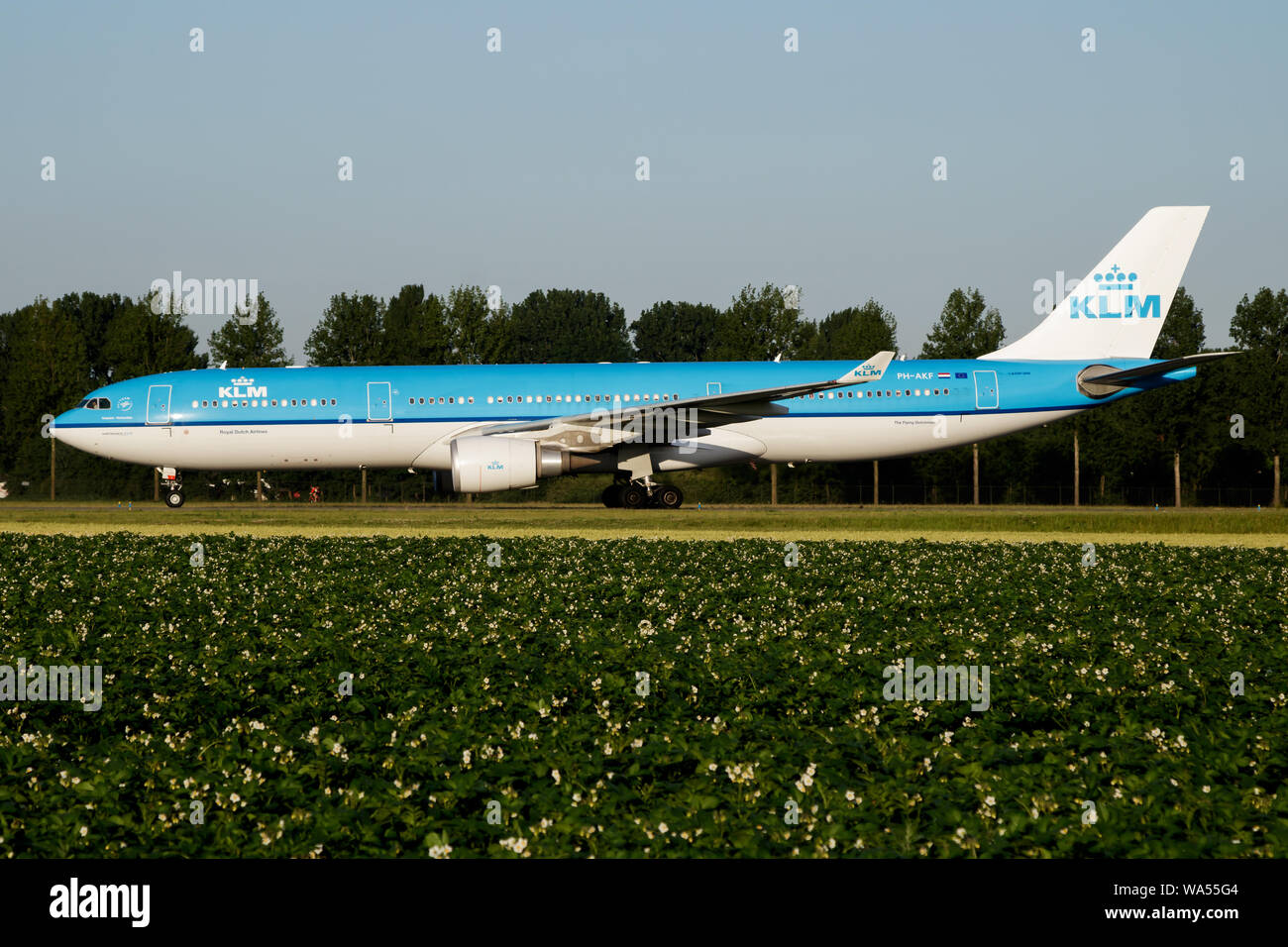 AMSTERDAM / NETHERLANDS - JULY 3, 2017: KLM Royal Dutch Airlines Airbus A330-300 PH-AKF passenger plane taxiing at Amsterdam Schipol Airport Stock Photo