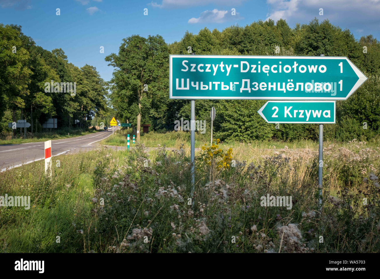 Homogenous hires stock photography and images Alamy