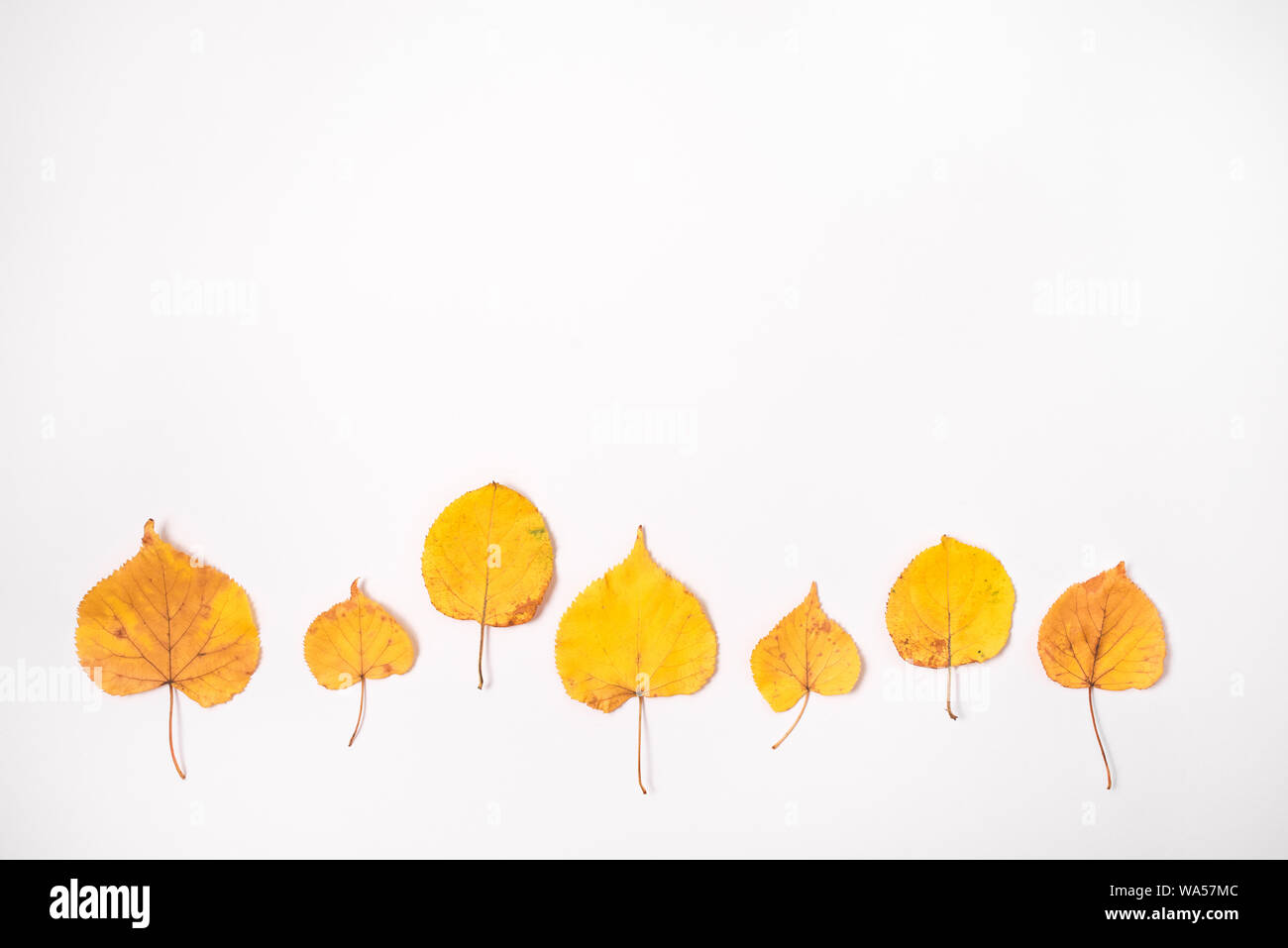 Autumn pattern made of yellow leaves on white background Stock Photo ...
