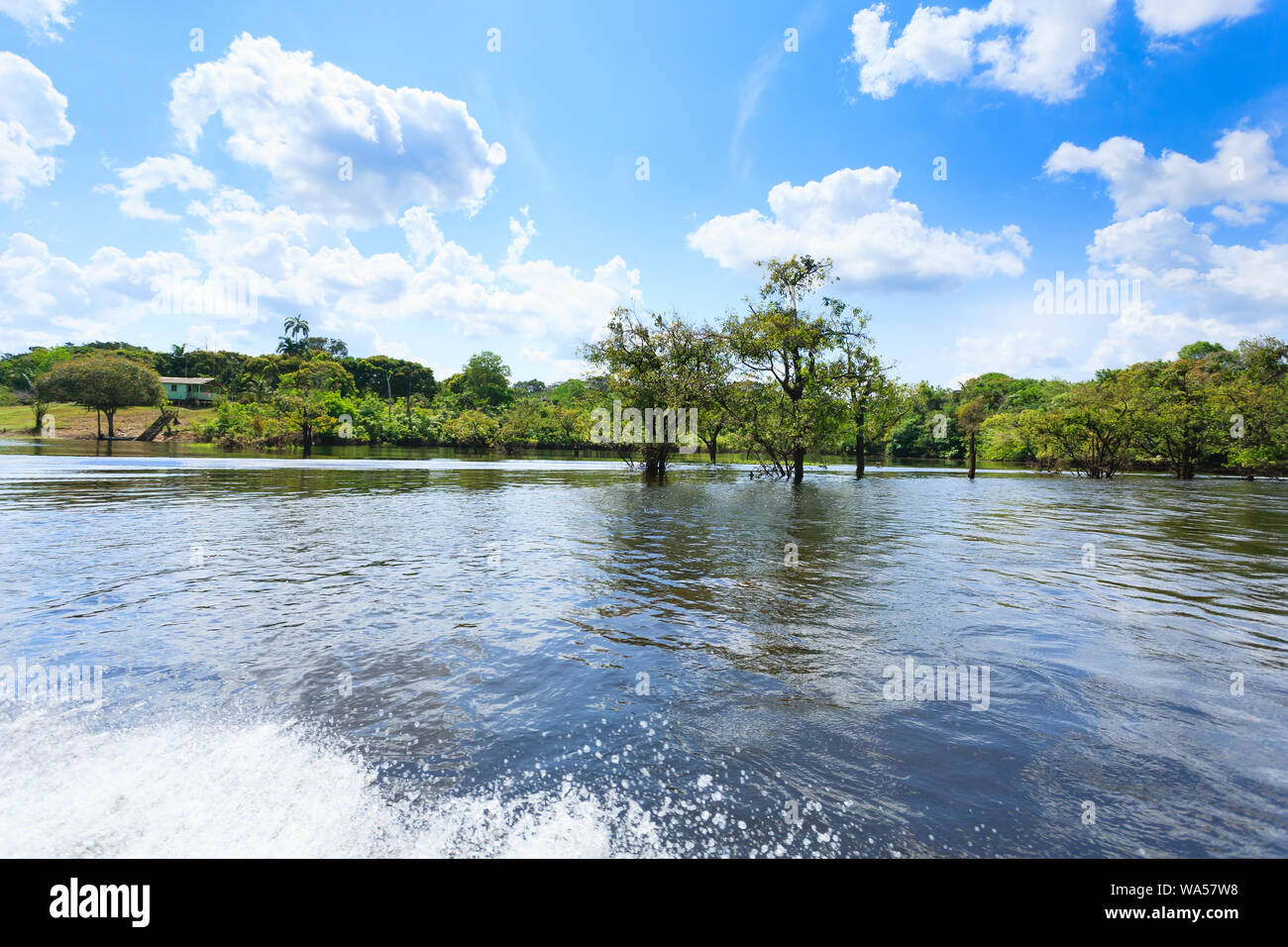 Panorama from Amazon rainforest, Brazilian wetland region. Navigable ...