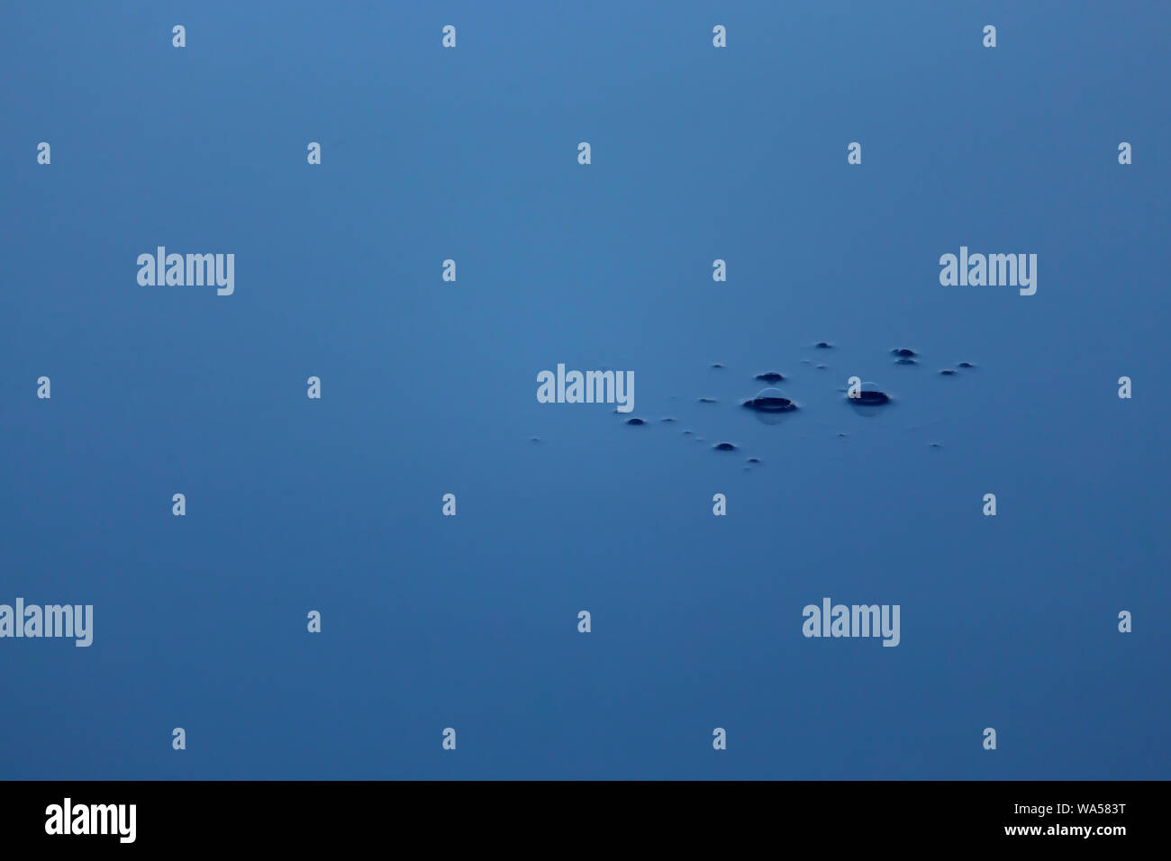 Air bubbles on surface of water Stock Photo Alamy