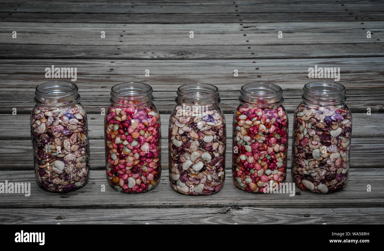 Homegrown beans and peas, ready to can. Fresh organic dry beans