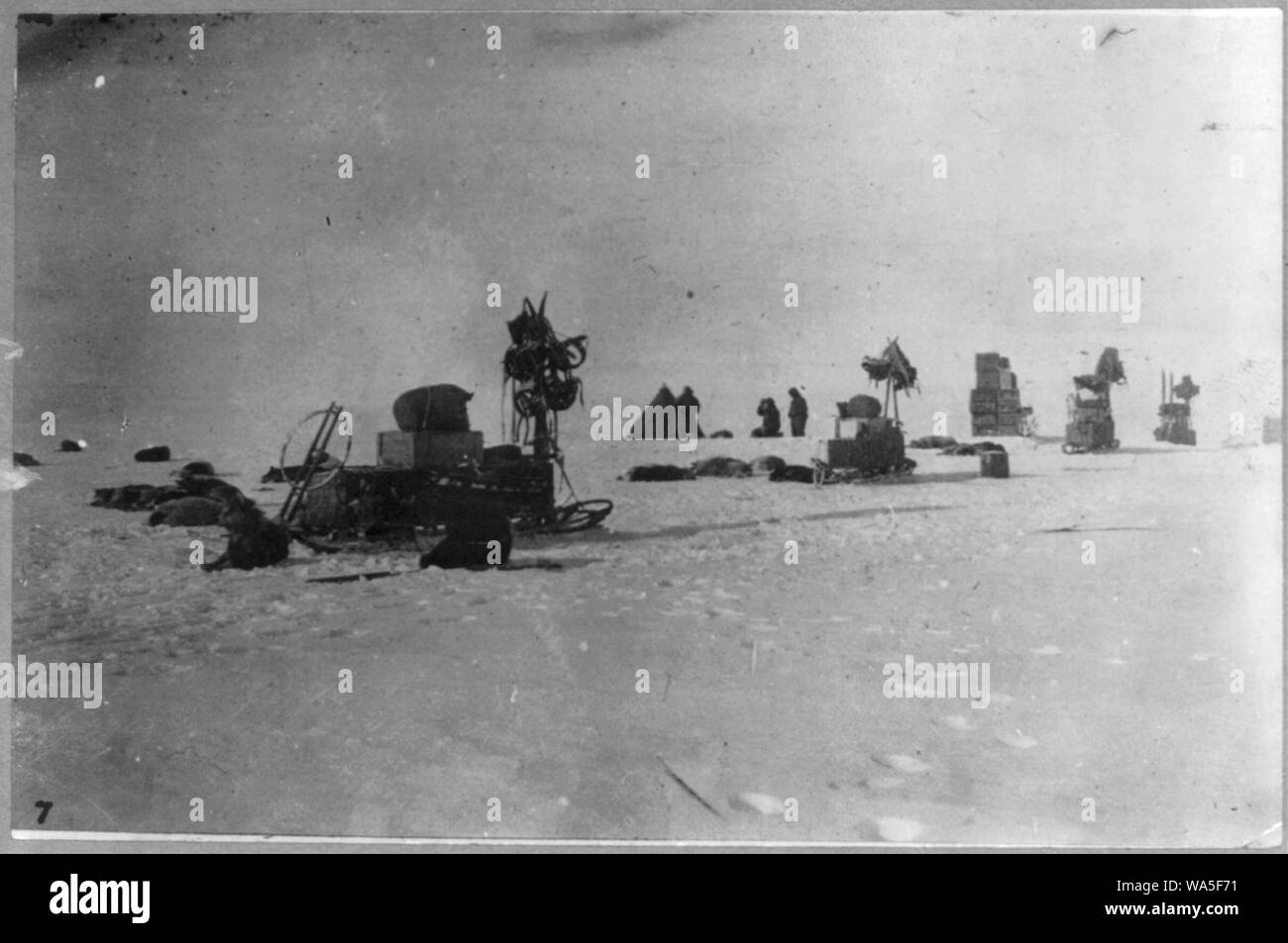 Discovery and explorations of the South Pole by Capt. Roald Amundsen and crew, 1910-11)- A photograph of another of the expedition's camps on the way to pole Stock Photo