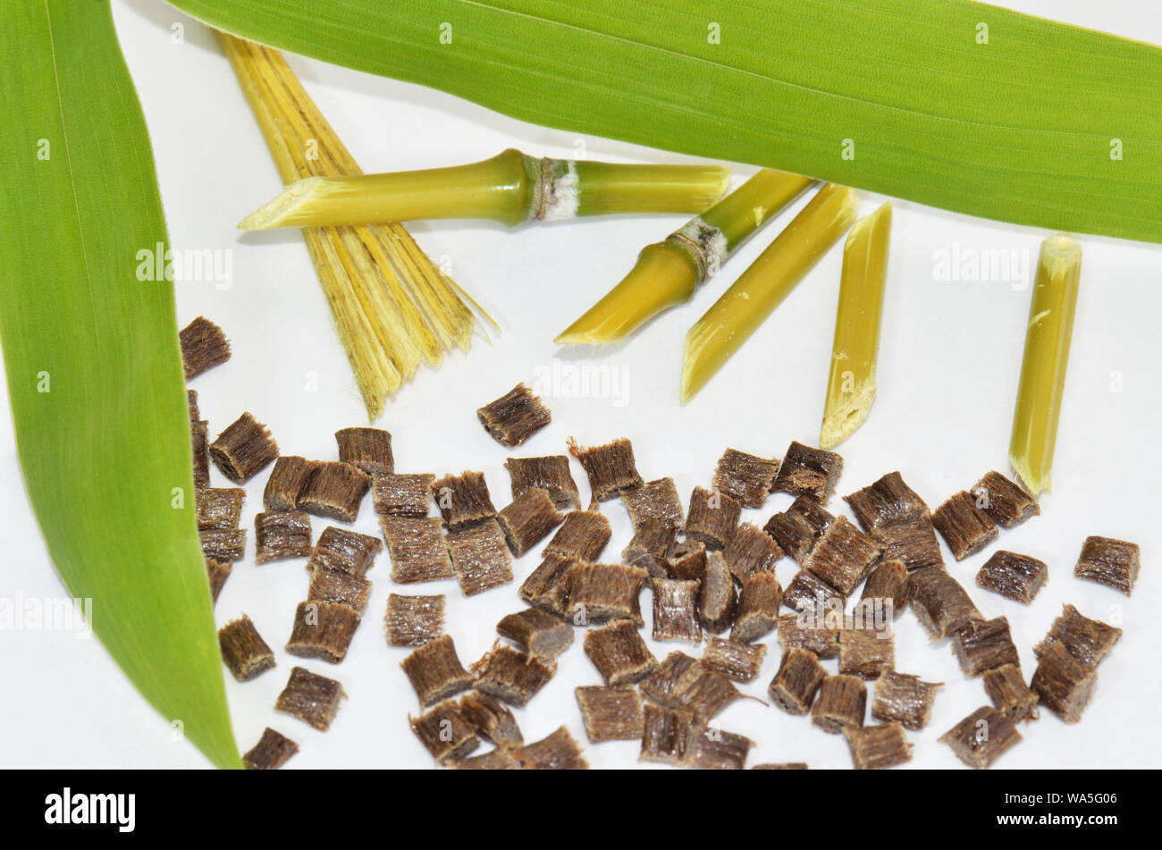 Biopolymer with and based on bamboo Stock Photo