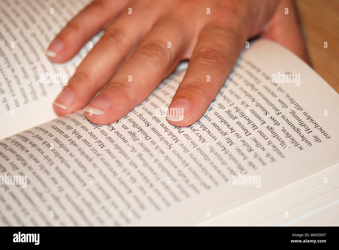 female reading a book Stock Photo