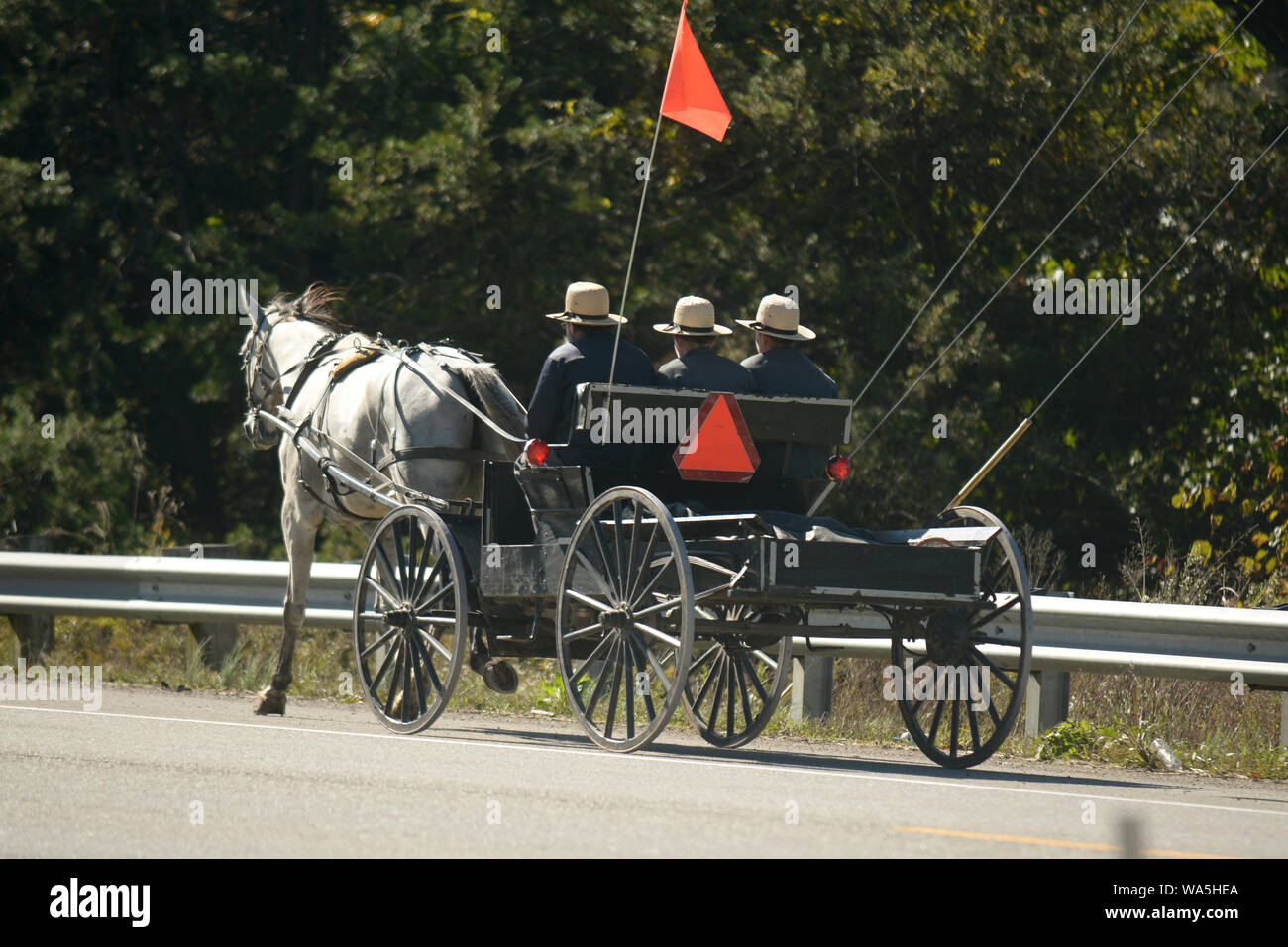 A carriage carries a a group of Amish men as they make their way down a
