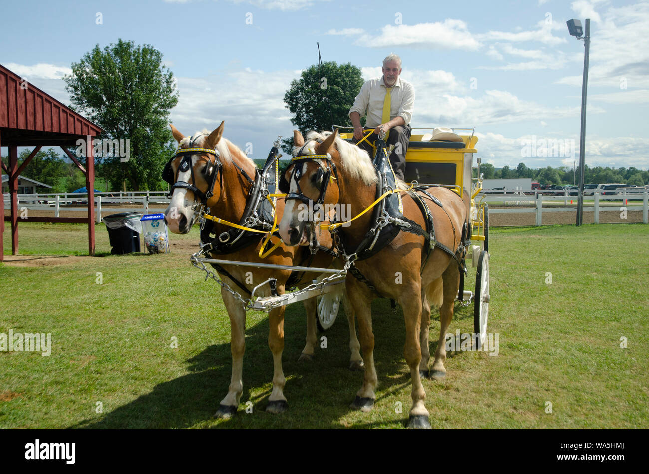 A man on a wagon controls his horses at the Addison County Field Days