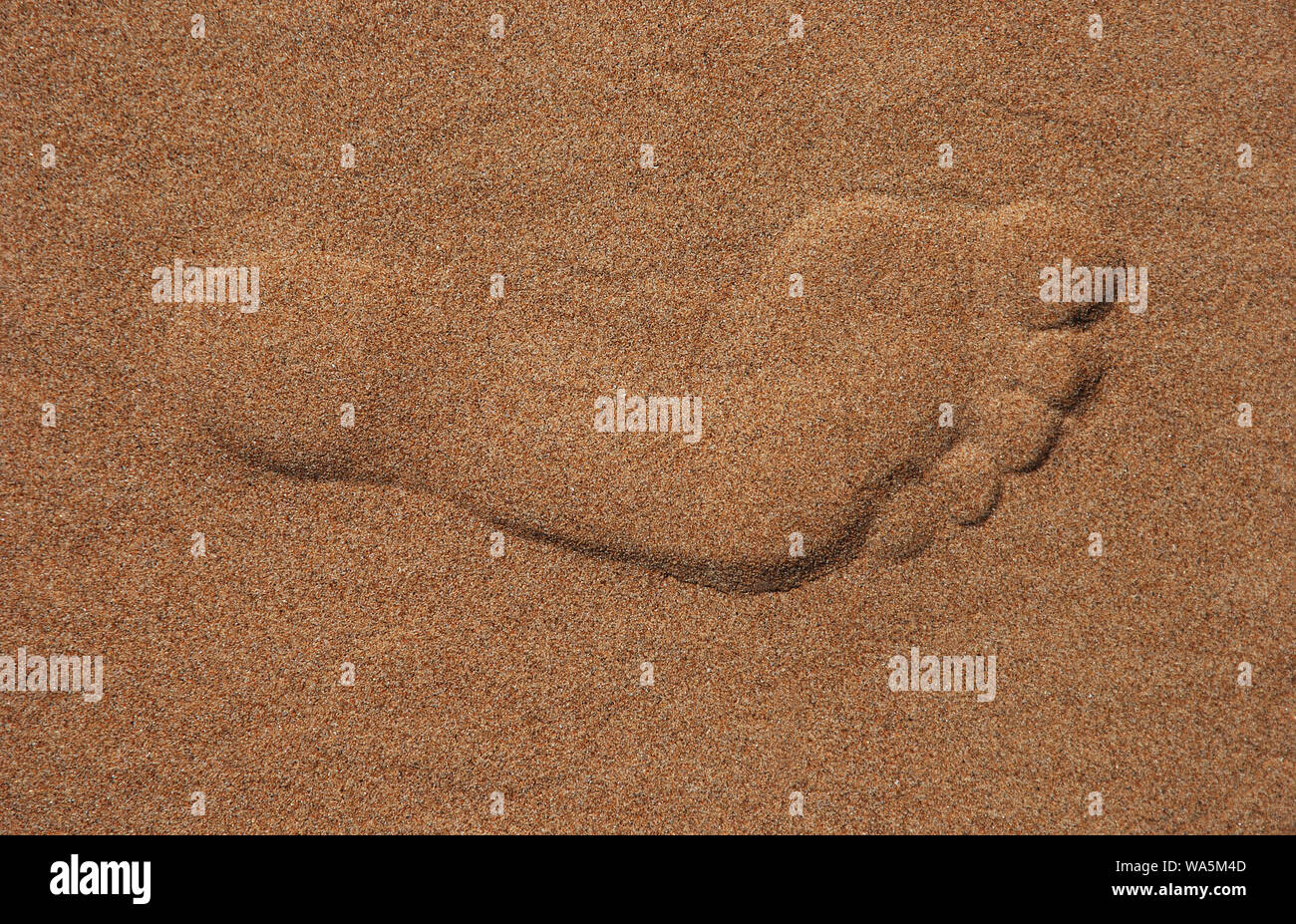 footstep in the beach Stock Photo