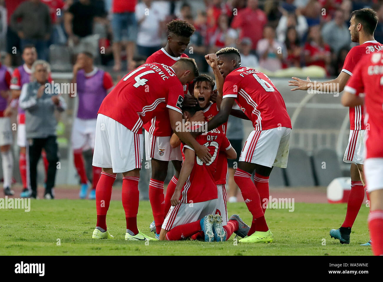 Oeiras, Portugal. 17th Aug, 2019. Rafa Silva (C) of SL Benfica celebrates with teammates after scoring during the Portuguese league football match between Belenenses SAD and SL Benfica at the Jamor stadium in Oeiras, Portugal, on Aug. 17, 2019. Credit: Pedro Fiuza/Xinhua Stock Photo