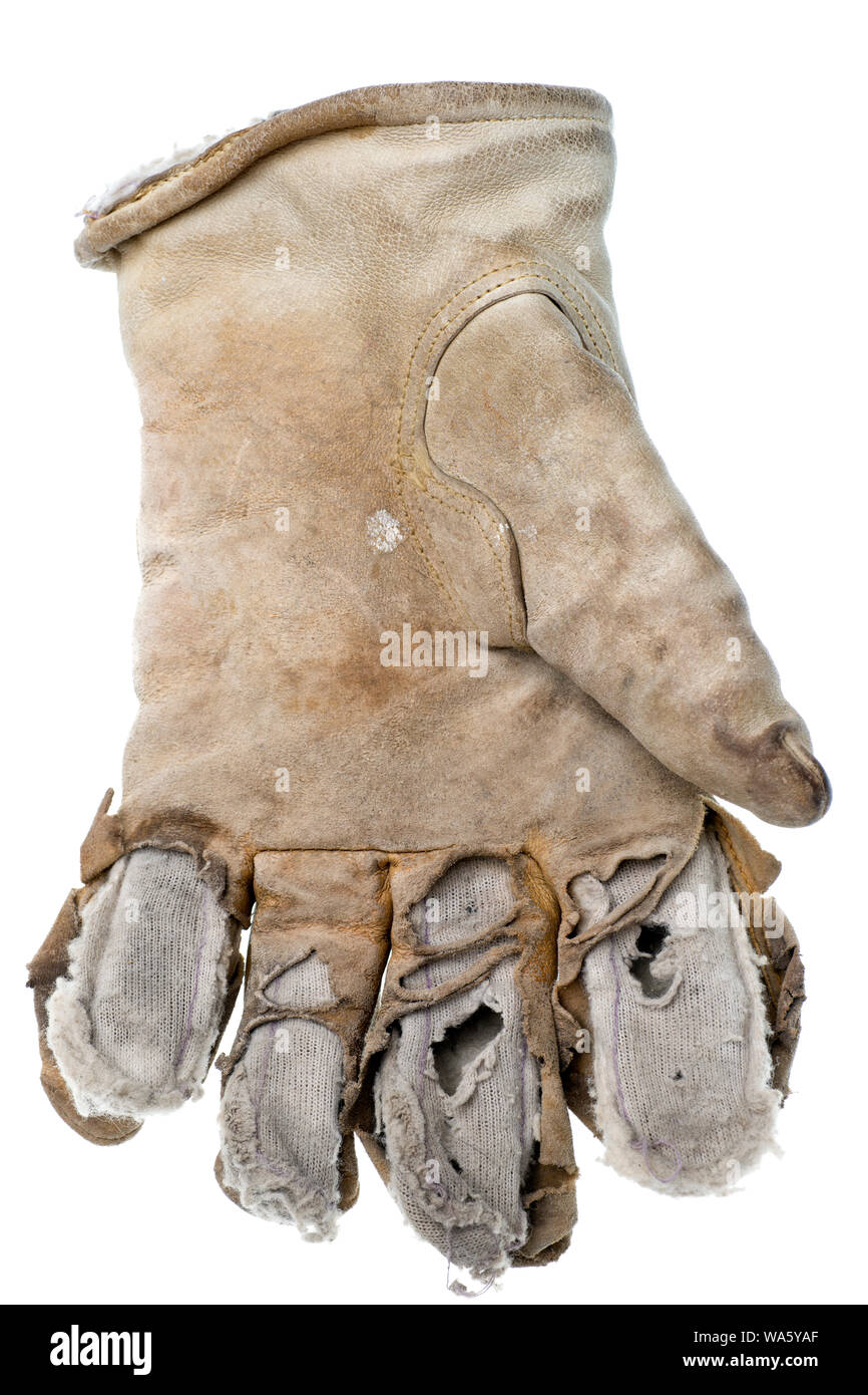 Single worn out leather work glove with leather completely worn down to the liner and the liner with holes, isolated on white background. Stock Photo