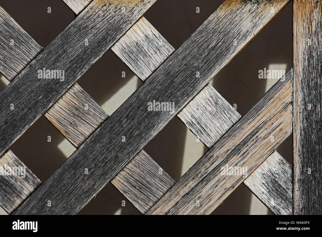 old distressed wood on a weather beaten lattice frame in spring in Italy Stock Photo