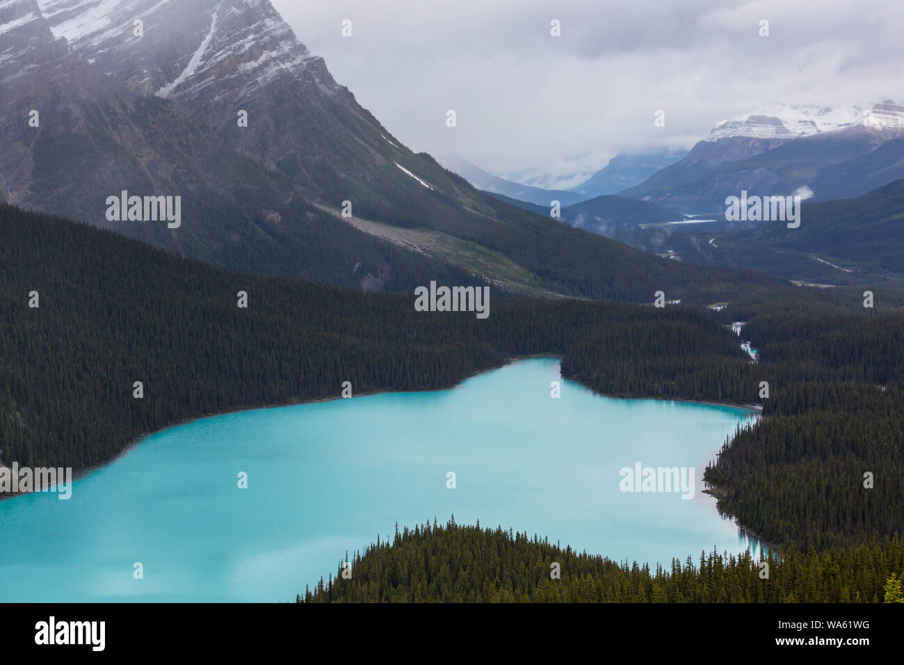 Peyto Lake in Banff National Park, Canada Stock Photo - Alamy