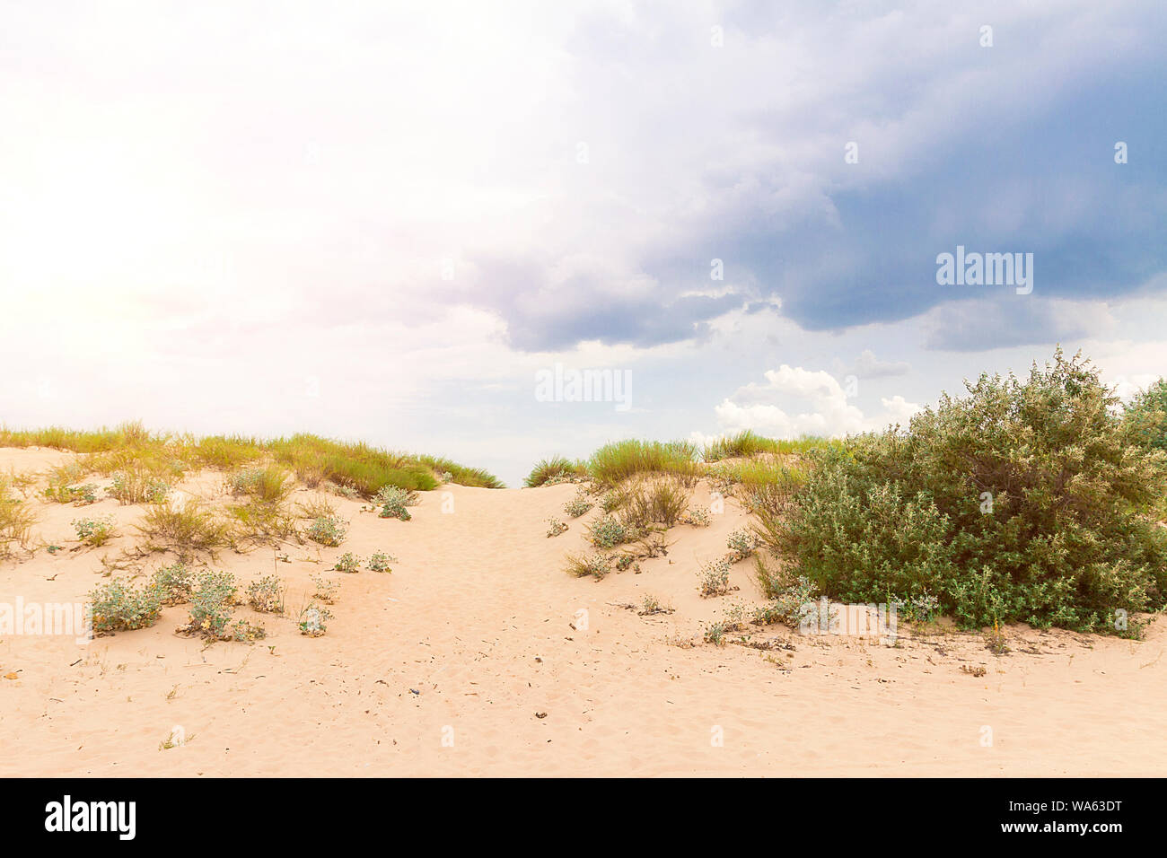 dry land without water for days drought deseart Stock Photo Alamy