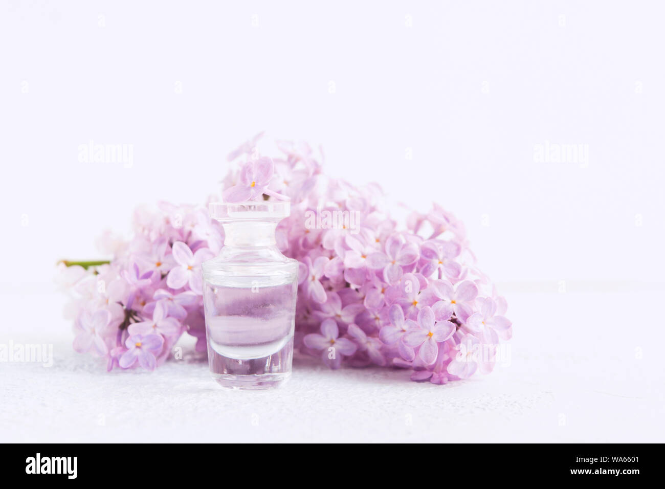 38,196 Lilac Perfume Images, Stock Photos, 3D objects, & Vectors
