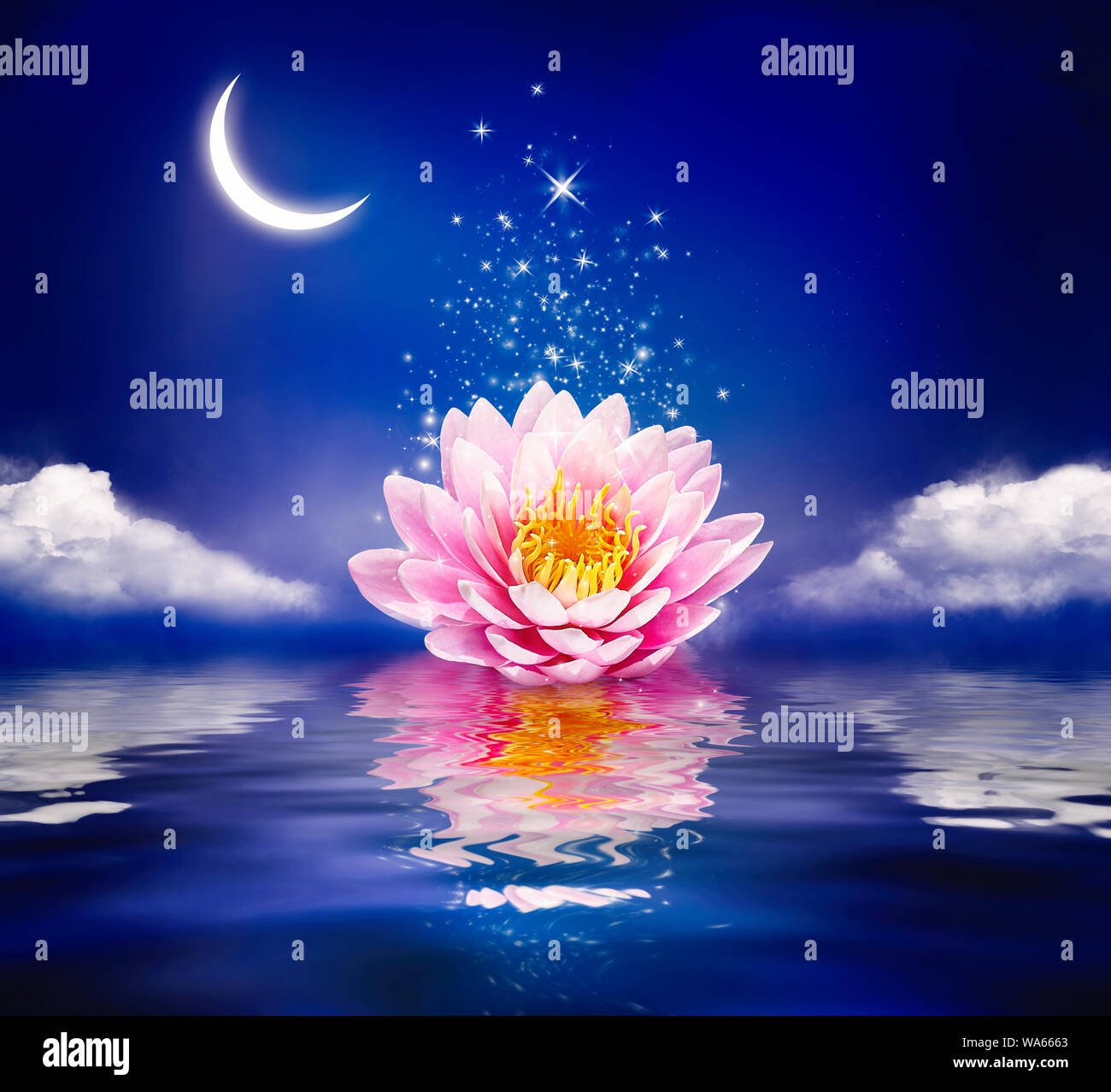 Beautiful magic flower on water. Waterlily or lotus and moon in night. Stock Photo