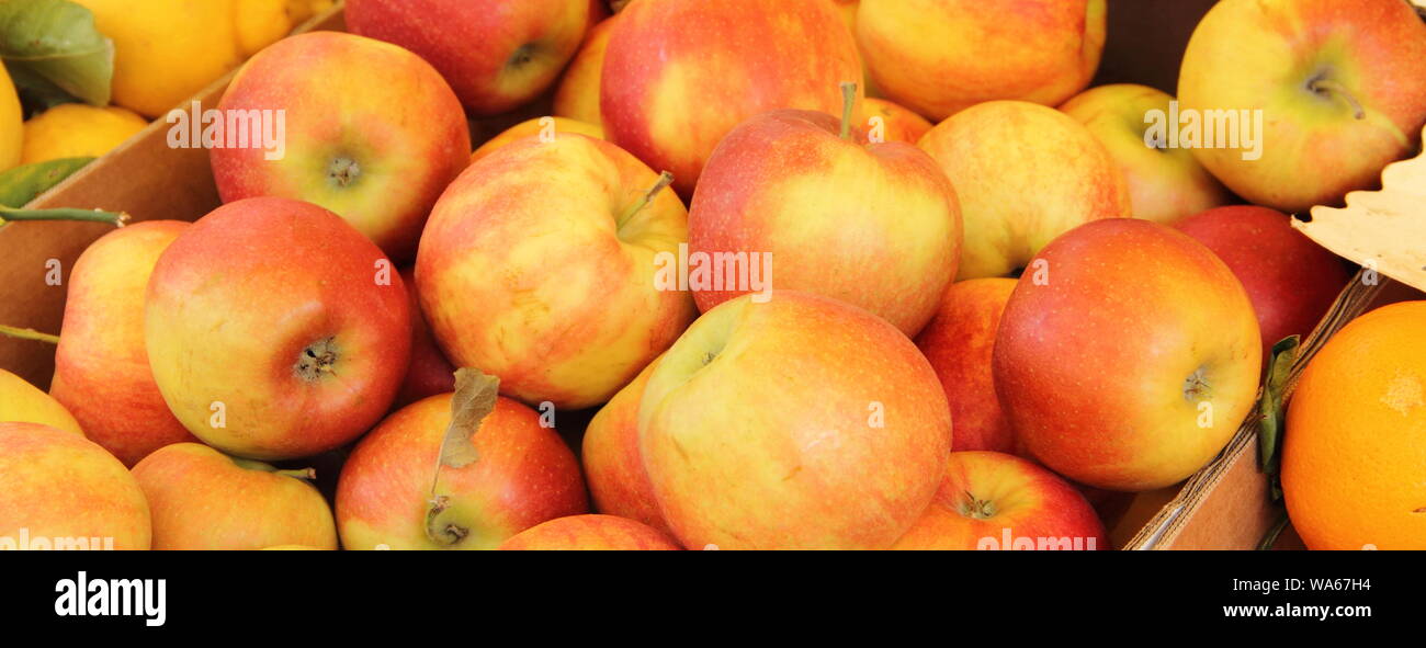 Colorful apples as a background Stock Photo - Alamy
