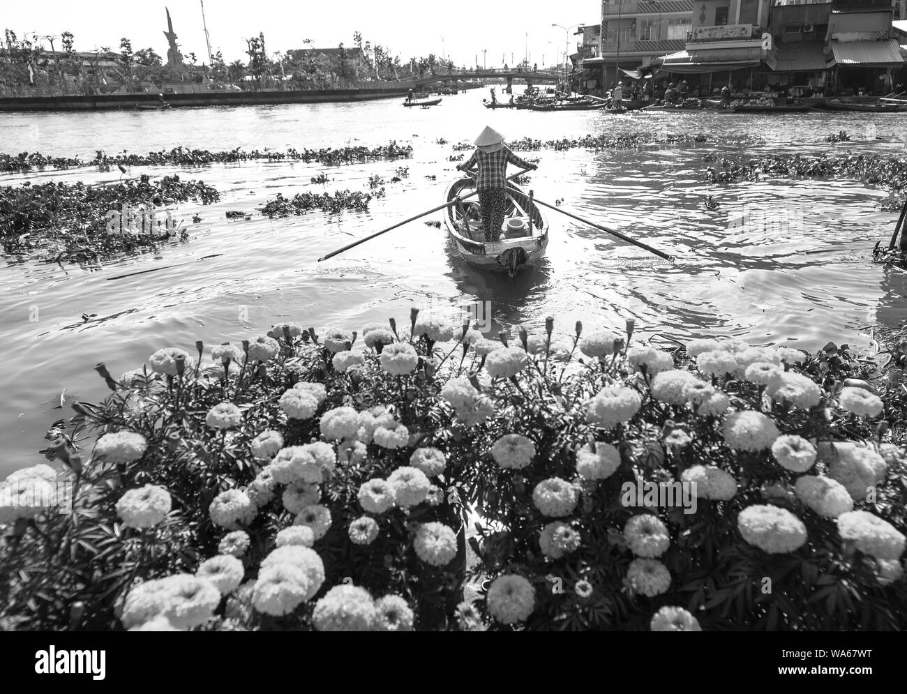Ferryman rowing takes visitors across river to visit floating market with foreground marigold, this is main transportation Lunar New Year in Soc Trang Stock Photo