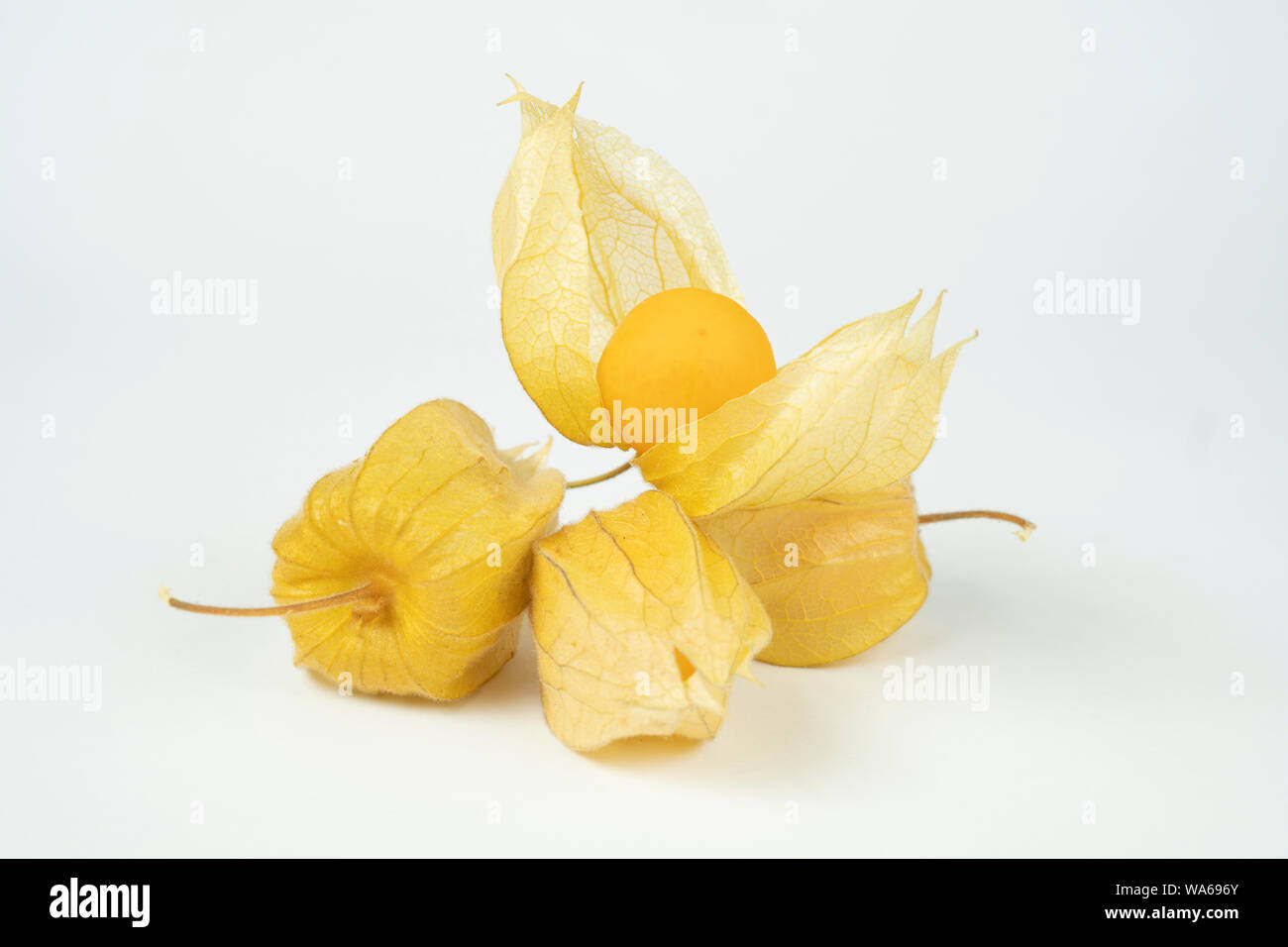 Cape gooseberry (physalis) isolated on white background Stock Photo