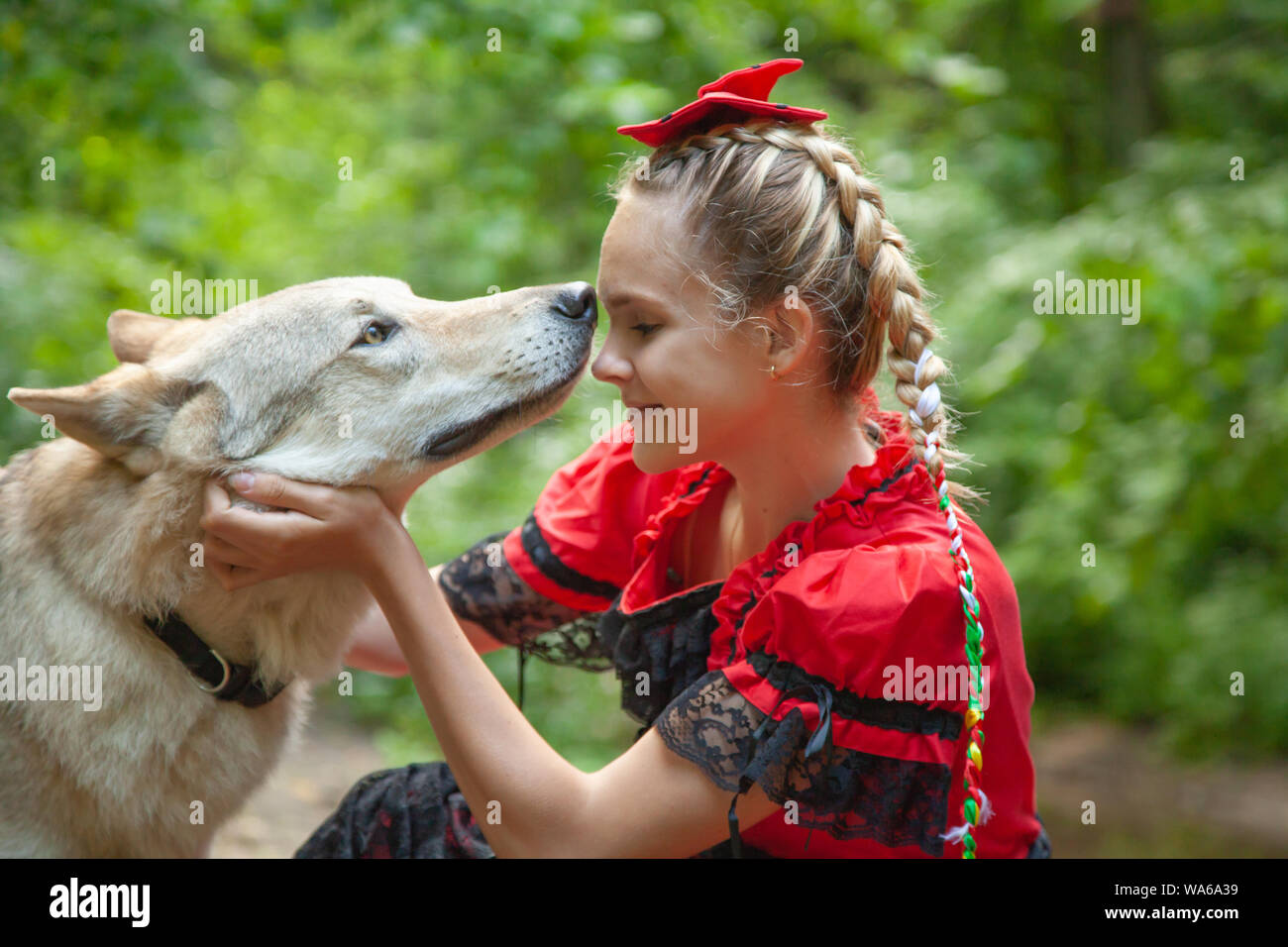 Dog in red dress hot sale