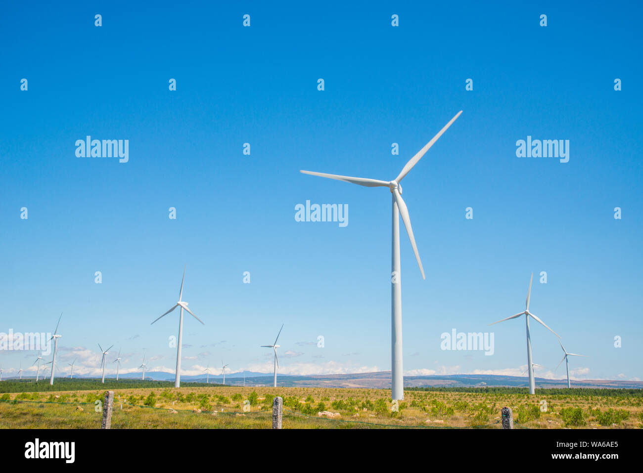 Wind farm. Paramo de Masa, Burgos province, Castilla Leon, Spain. Stock Photo