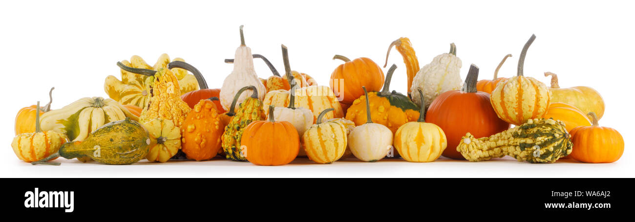 Assortiment of autumn harvested pumpkins in a heap isolated on white ...