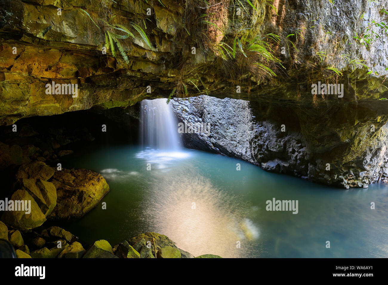 Waterfall flowing into the iconic Natural Bridge in Springbrook National Park, Gold Coast Hinterland, Queensland, QLD, Australia Stock Photo