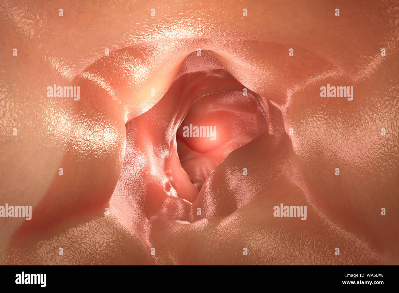 3d rendering inside of healthy intestine or intestine wall Stock Photo