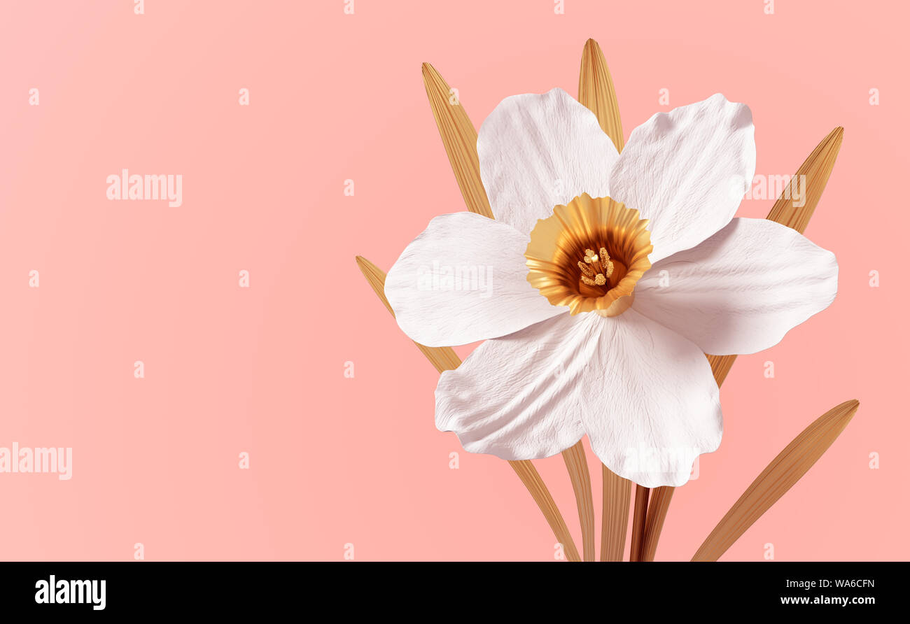 Conceptual Flower Narcissus On Pink Background. 3D Illustration. Stock Photo