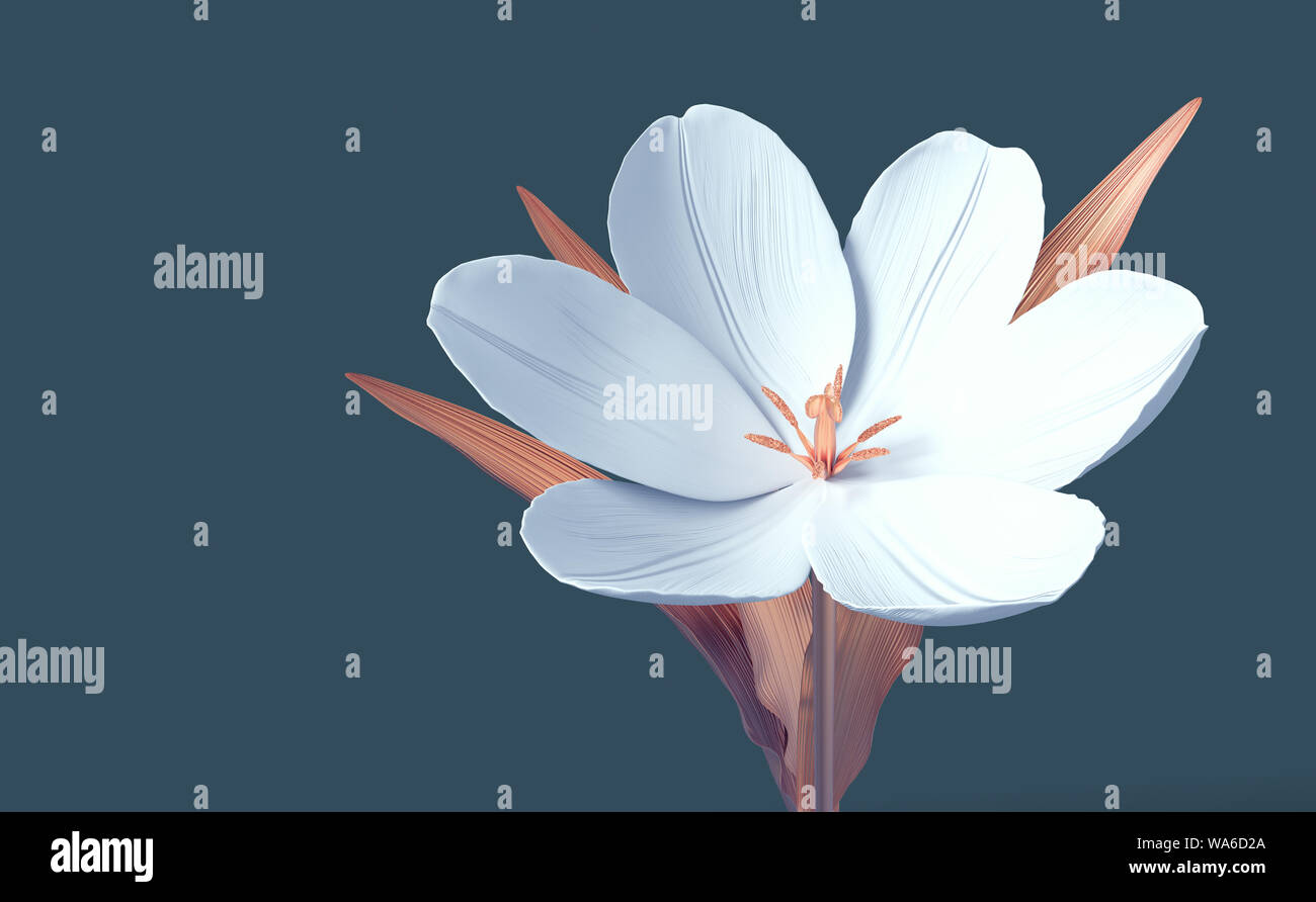 Conceptual Flower Tulip On Blue Background. 3D Illustration. Stock Photo