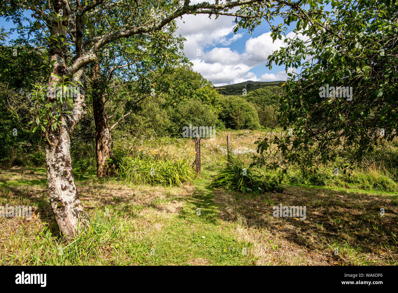 Tree framing a view on a footpath and a gate to a meadow with hills in the distance Stock Photo