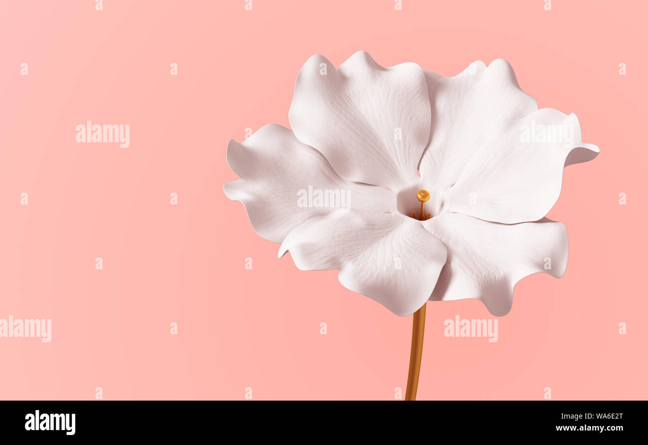 Conceptual Flower Viola On Pink Background. 3D Illustration. Stock Photo