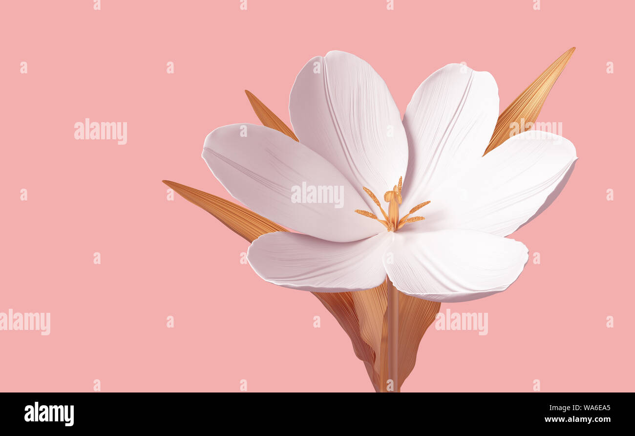 Conceptual Flower Tulip On Pink Background. 3D Illustration. Stock Photo