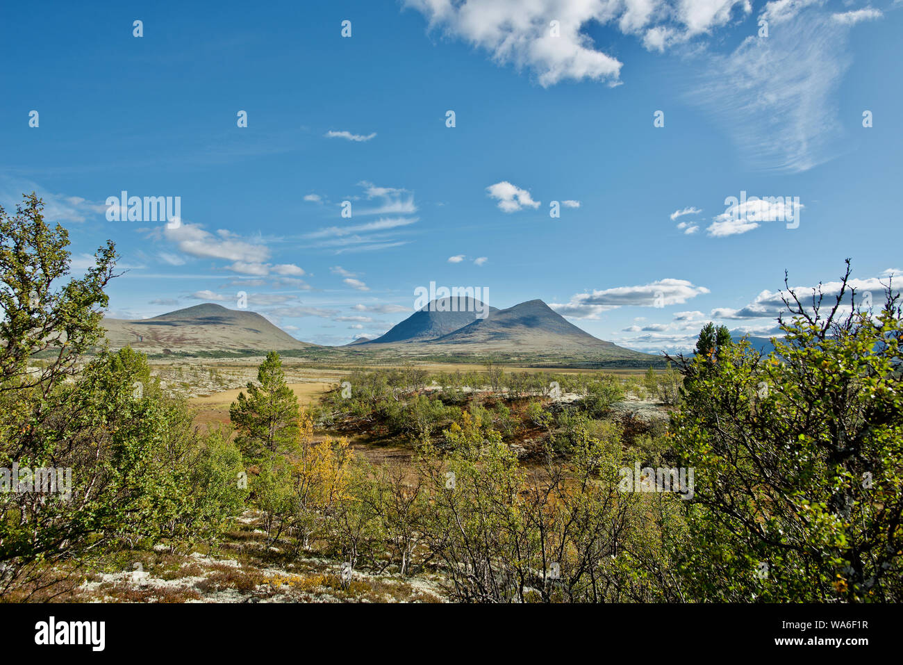 Norwegian landscape in Alvdal Norway Stock Photo - Alamy