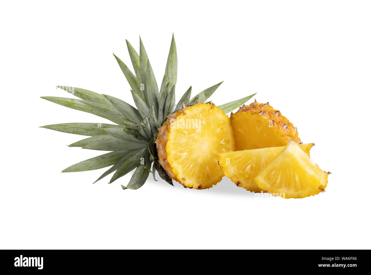Pineapple or Ananas comosus has proteolytic enzymes, bromelain names