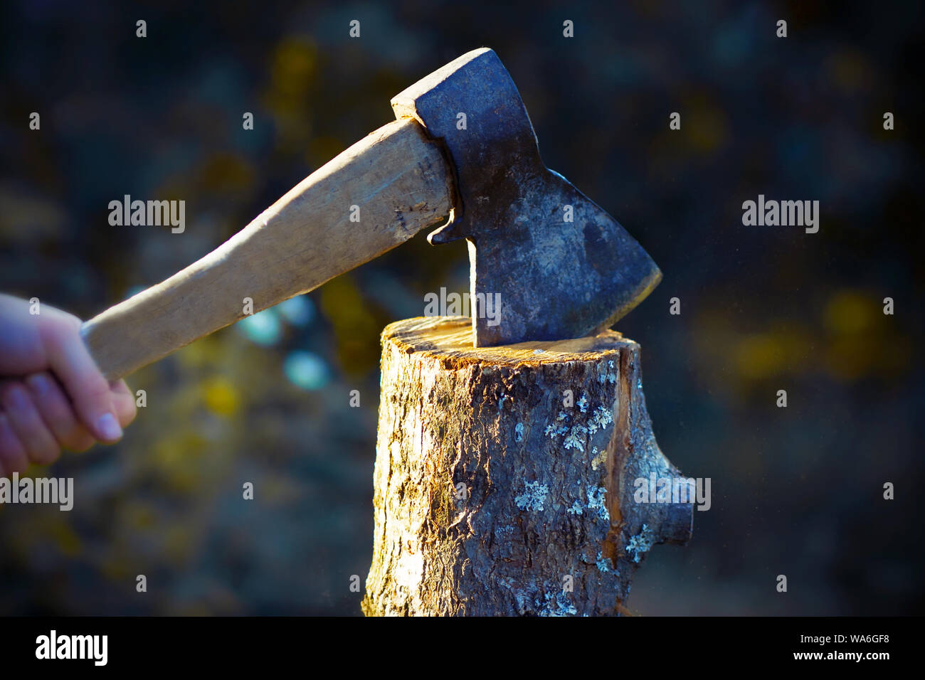 An old axe with a wooden battered handle and a worn edge cut a large