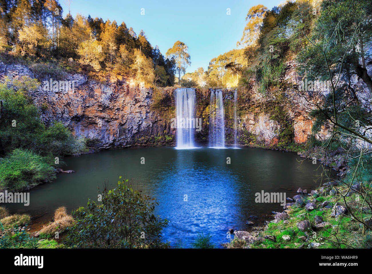 Front of Dangar Falls main waterfall cascade falling down to round pool of fresh water cutting through lava basalt rocks in Dorrigo National park of A Stock Photo