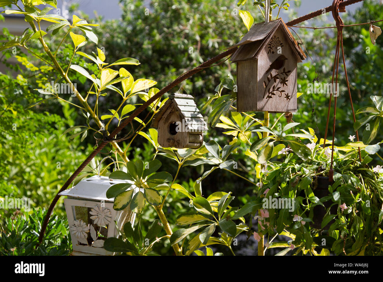A collection of carved wooden bird boxes hanging in a garden in Sorrento, Amalfi Coast, Italy, Europe, with copy space Stock Photo