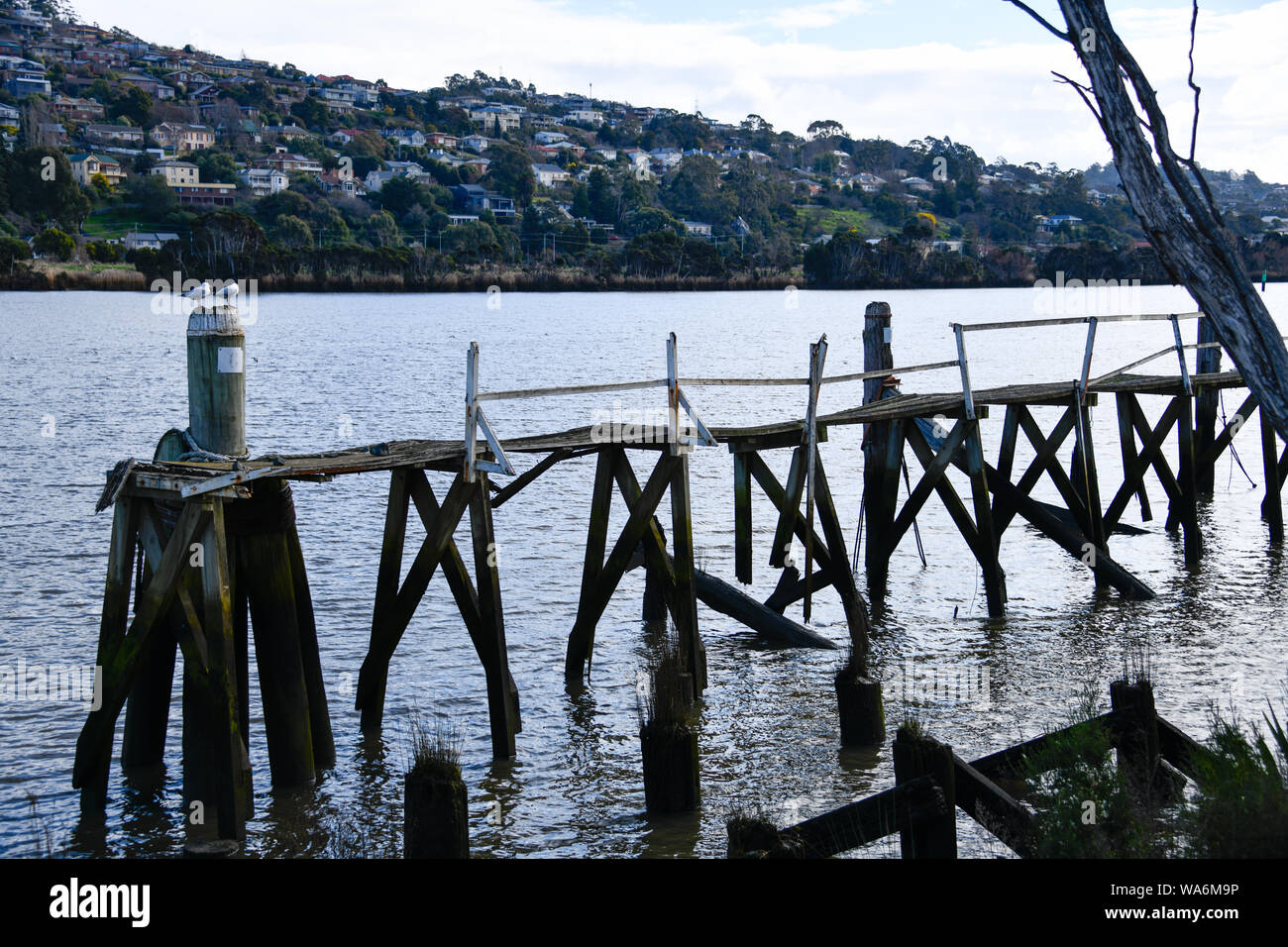 Old Wharf in disrepair at Riverbend Park on Tamar River, Launceston Tasmania, Australia Stock Photo