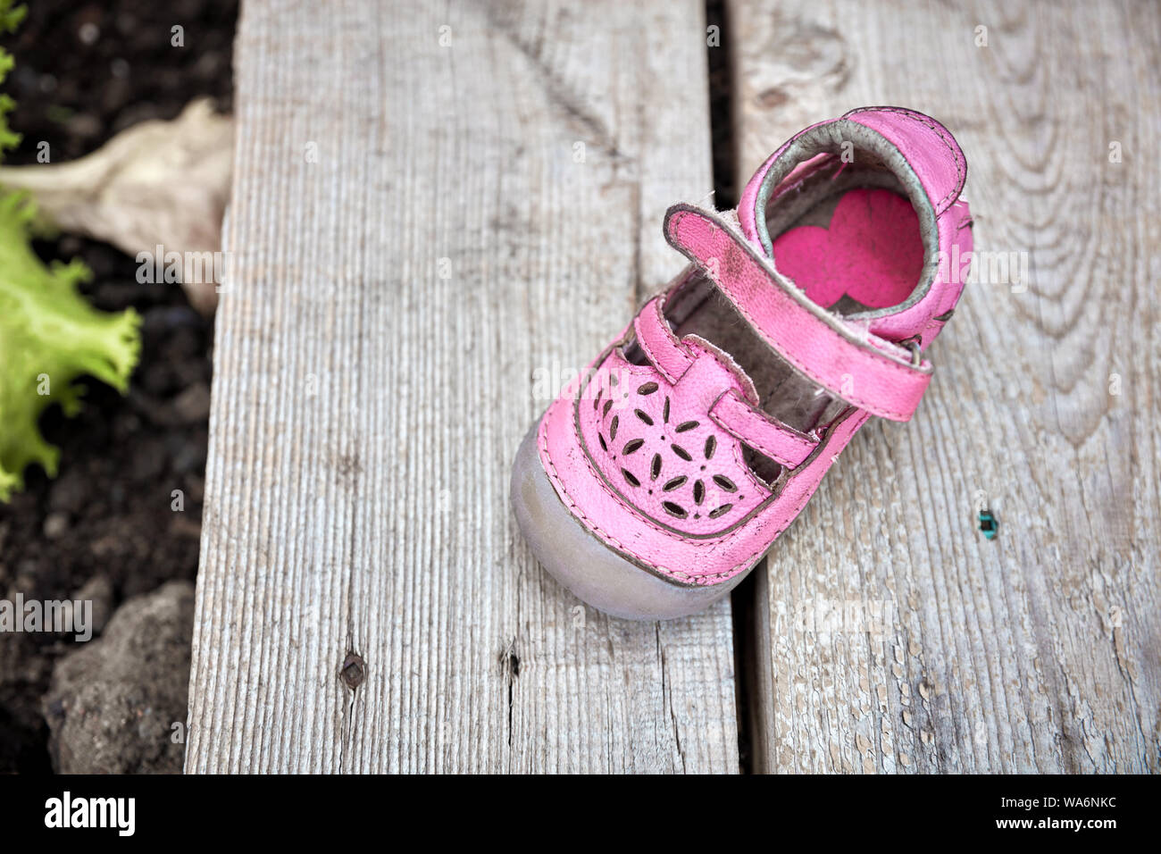 Worn pink children shoe on wooden plank background. Concept of child abuse or kidnapping or pedophilia. Stock Photo