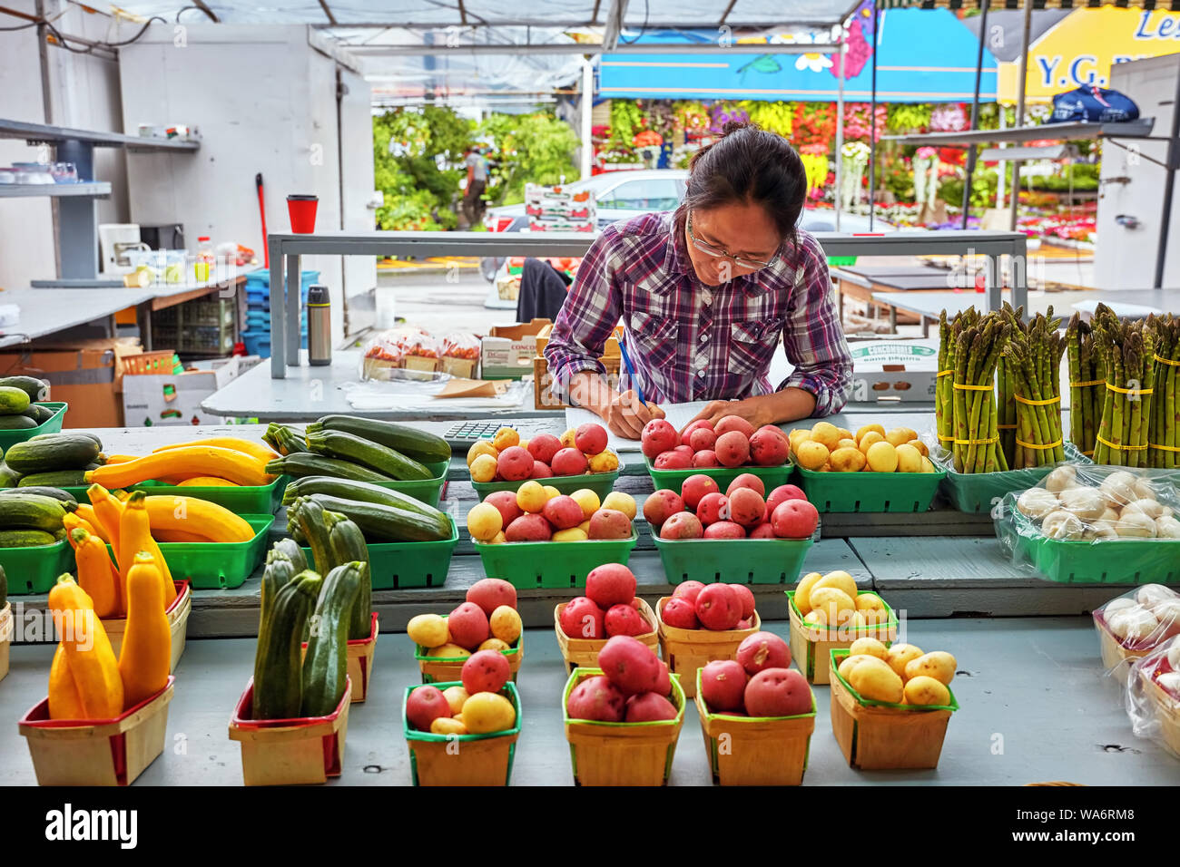 Female Asian salesperson keeping books behind the vegetable counter at Atwater market in Montreal, Quebec, Canada. Stock Photo