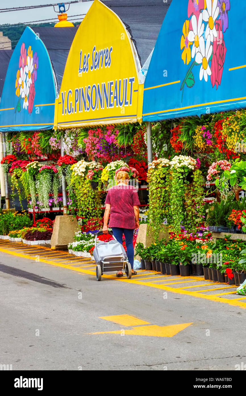 Elderly woman shopping trolley walking hires stock photography and