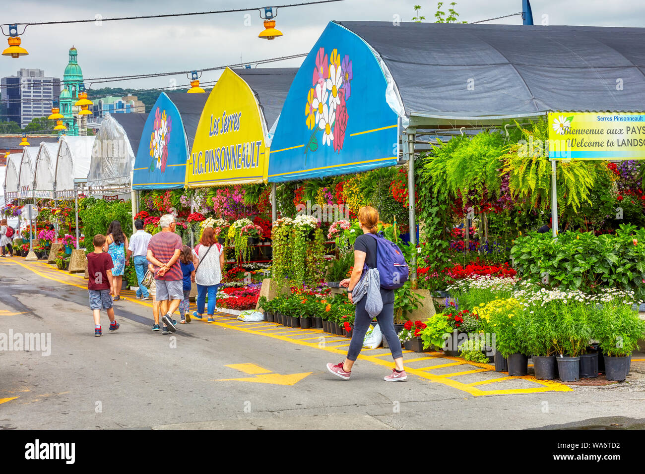 Flower shops hires stock photography and images Alamy