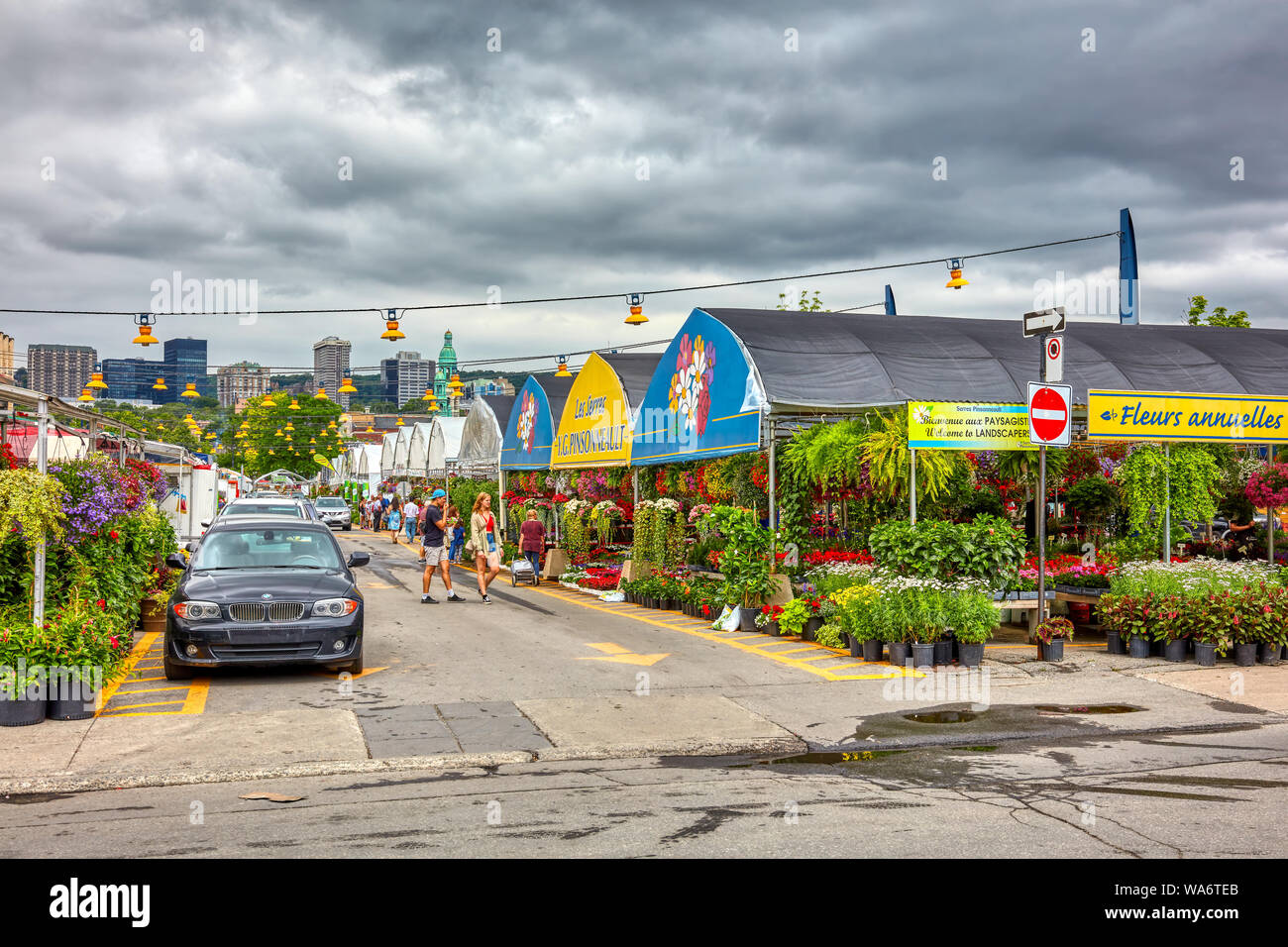 Flower shops hires stock photography and images Alamy