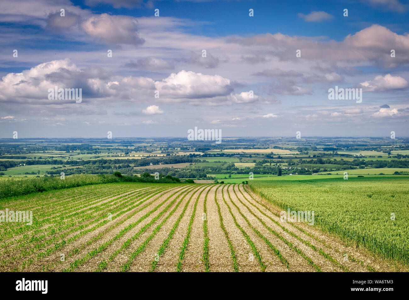 View over Lincolnshire looking west from the Wolds, near Normanby le Wold. Stock Photo