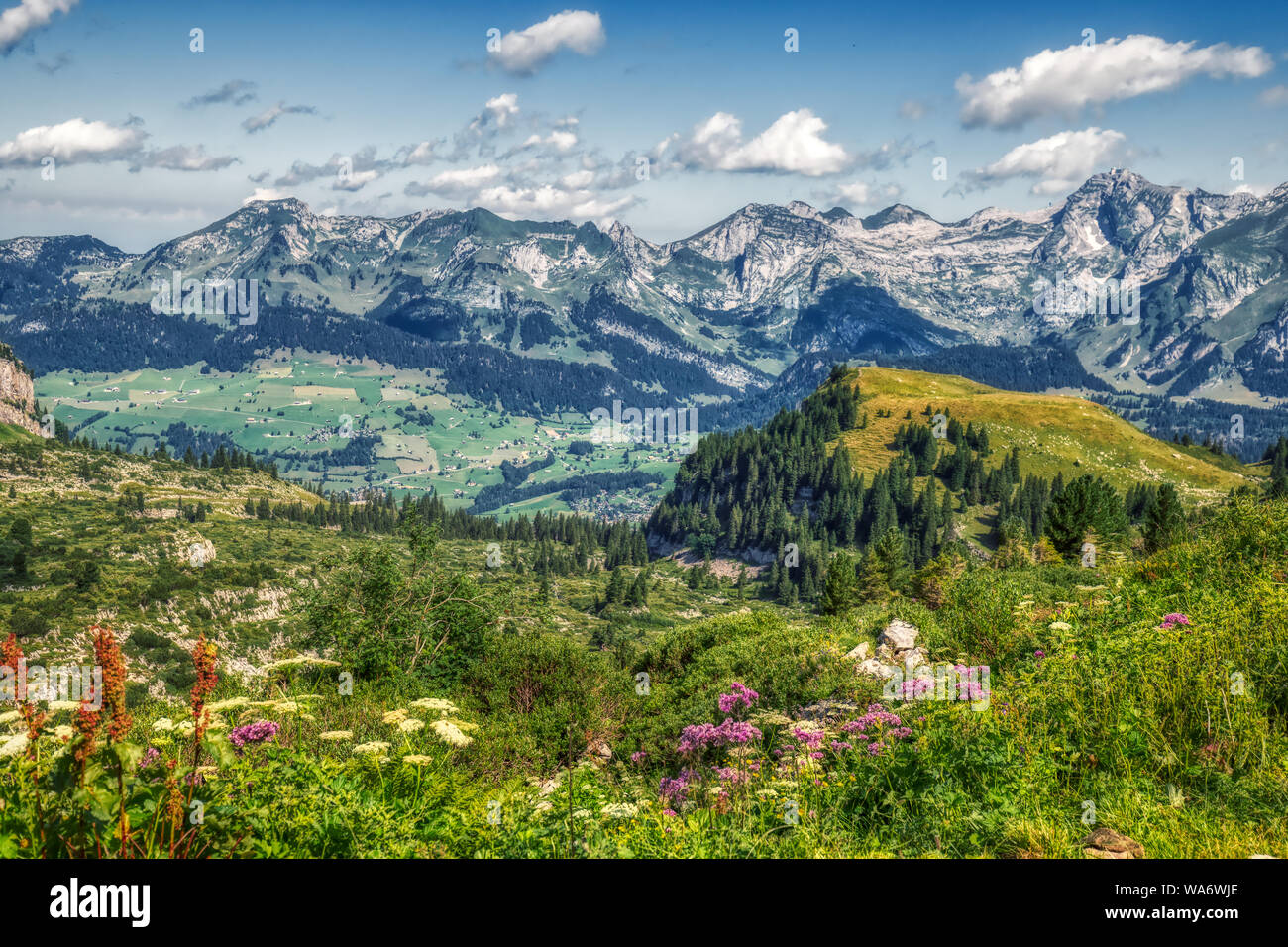 Hiking through swiss alps on a sunny day with blue sky near toggenburg ...
