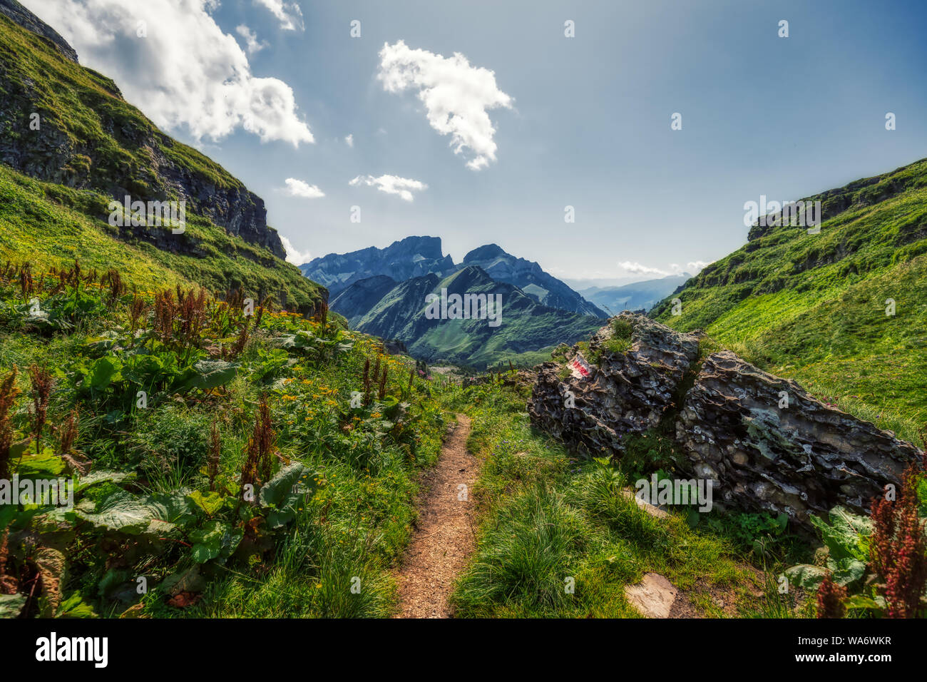 Hiking through swiss alps on a sunny day with blue sky near toggenburg ...
