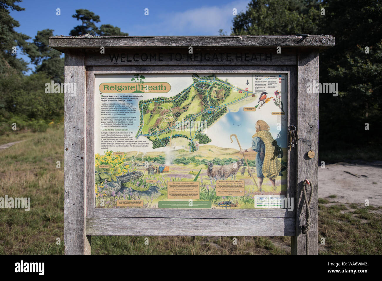 reigate heath information sign surrey Stock Photo Alamy
