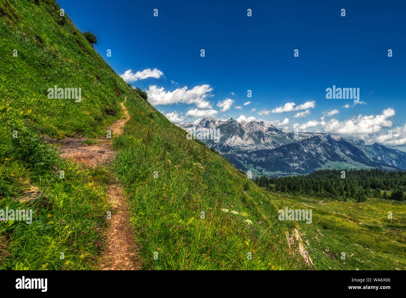 Hiking through swiss alps on a sunny day with blue sky near toggenburg ...